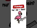 Die verblüffende Physik der Flamingos: Schlafen auf einem Bein 🦩