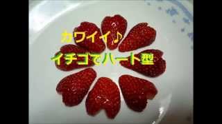 イチゴでハートを作る切り方 飾り切り How To Cut Of The Strawberry Heart Type Youtube イチゴでハートを作る切り方 飾り切り How To Cut Of The Strawberry Heart Type Youtube