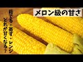 一番甘い！とうもろこしの茹で方