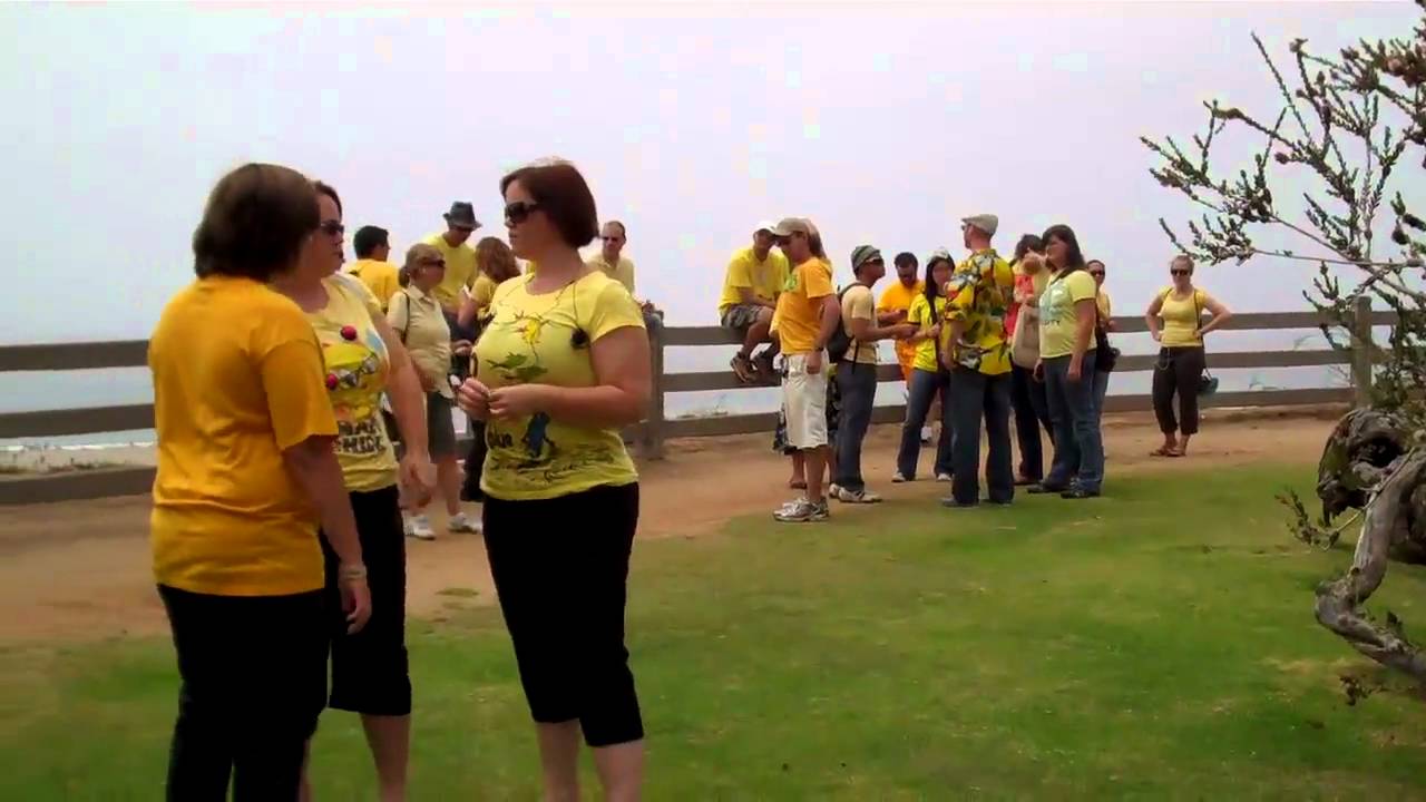 ipOdyssey - Waiting around