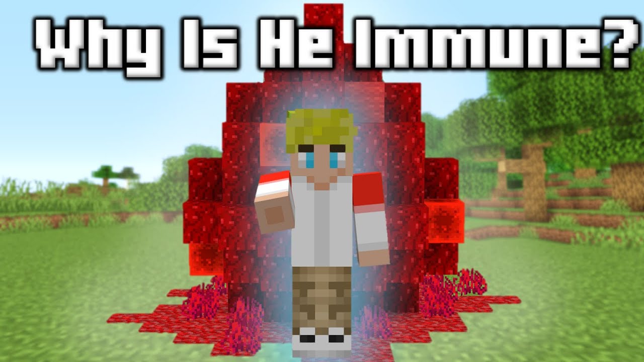 Dream SMP: Why Is Tommy Immune to The Egg?
