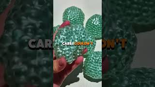 Sister Tears Beg Watch 6 Month Baby Weekend