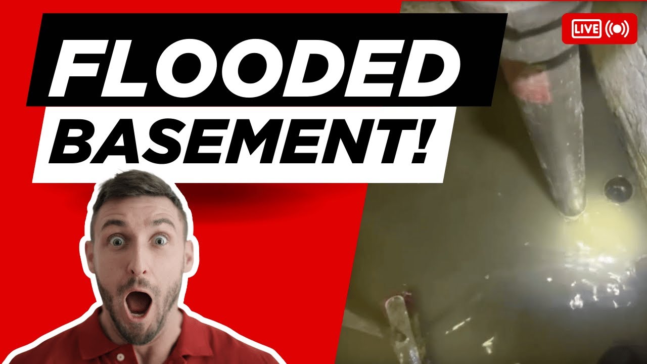 Sewer Back Up In House! Expert Diagnosis By Team Balkan