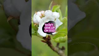 GOD Is More Than Able To Change Your Condition #gospelsongs #praise #worship #music #viral
