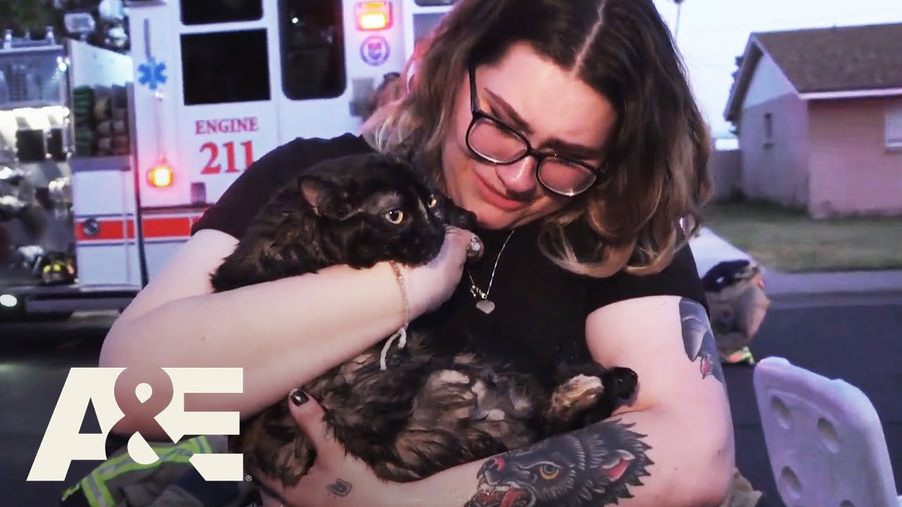 Live Rescue: Top 6 Animal Rescues | A&E - YouTube