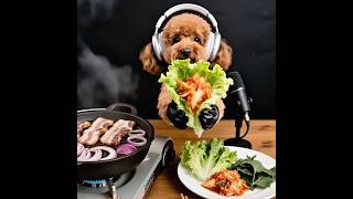 오늘같이 비오는 날엔 K-삼겹살 먹방🥓🍖☔️ Rainy Day = K-Samgyeopsal Time! 🥩🌧️