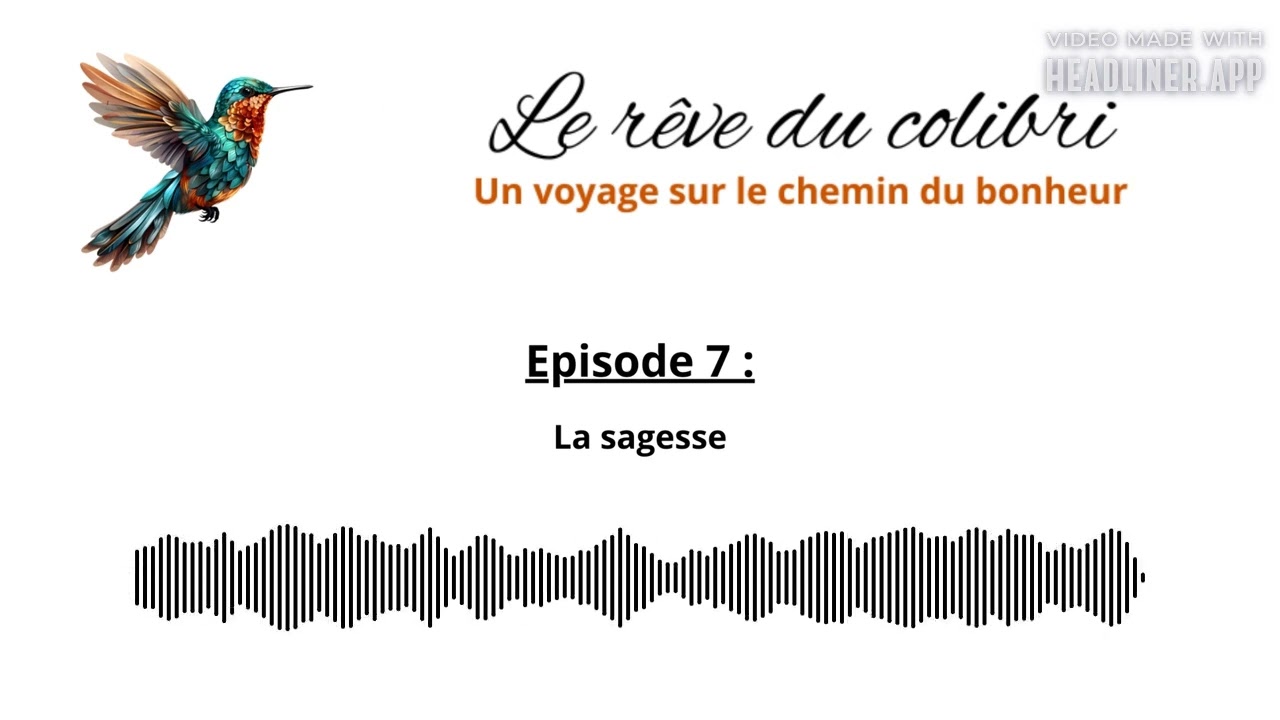 Episode 7 : La sagesse