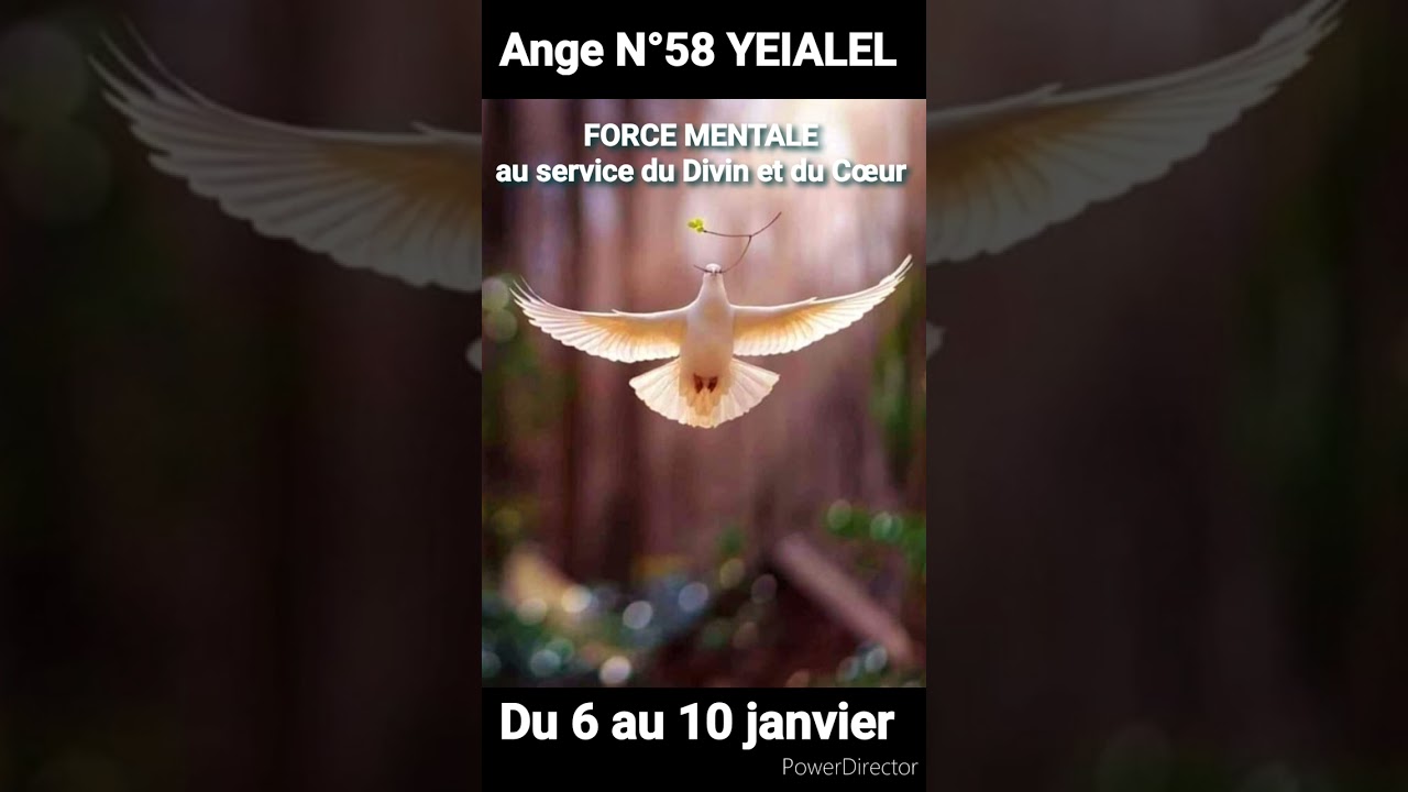 Ange N°58 YEIALEL, Force mentale, Concentration, Clairvoyance, Discernement, Intelligence Divine 😇❤️