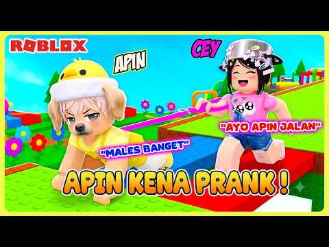 CEY TURNS INTO A PRETTY GIRL TO PRANK APIN! APIN BECOMES A DOGGY Roblox Indonesia @Ceyyi1234