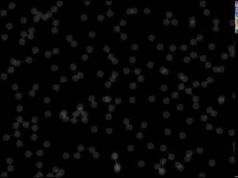Slingshot Effect