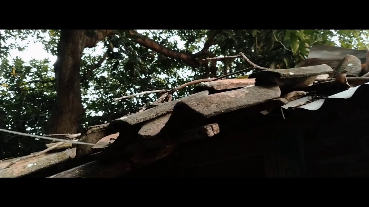 Video Cinematic Isuk Isuk Neng Omah #dirumahaja - YouTube