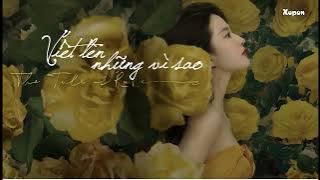 [Vietsub   Lyric] Viết lên những vì sao - Kenji Wu | 写在星星上 - 吴克群