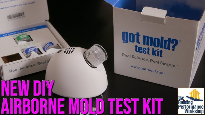 Air Mold Test Kit - 5 Simple Mold Detection Tests - Optional Lab Analysis -  Test HVAC System, Room Air, & Home Surfaces - Evviva Sciences