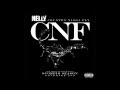 Nelly Country Nigga Fly