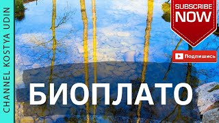 БИОПЛАТО (#LANDSCAPE) ФИЛЬТРАЦИЯ ВОДОЁМА