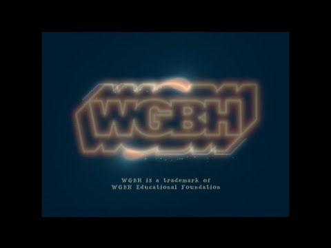 WGBH Kids/PBS Kids GO! (2009/2011)