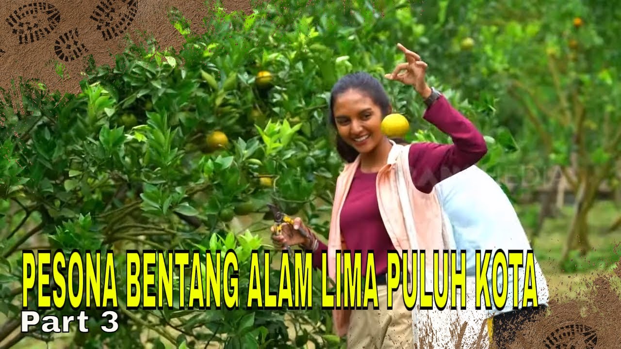 PESONA BENTANG ALAM LIMA PULUH KOTA | JEJAK PETUALANG (20/02/24) Part 3