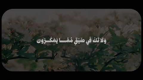 وَاصْبِرَ وَمَا صَبْرُكَ إِلَّا بِاللَّهِ - سورة النحل - الشيخ محمود علي