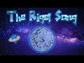 Orion Constellation and Rigel Quiz