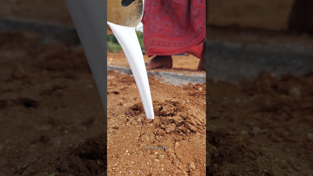 Termite Treatment For New House Construction Solution