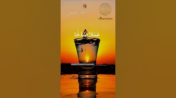 قل إنما أنا بشر مثلكم تلاوه قصيره احمد العجمي تلاوات قصيره حالات واتس آب قرآن مقاطع قرآن قصيره جميله