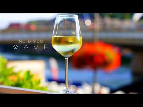 Maxim Lein - Nudisco/Synthpop/Synthwave #14