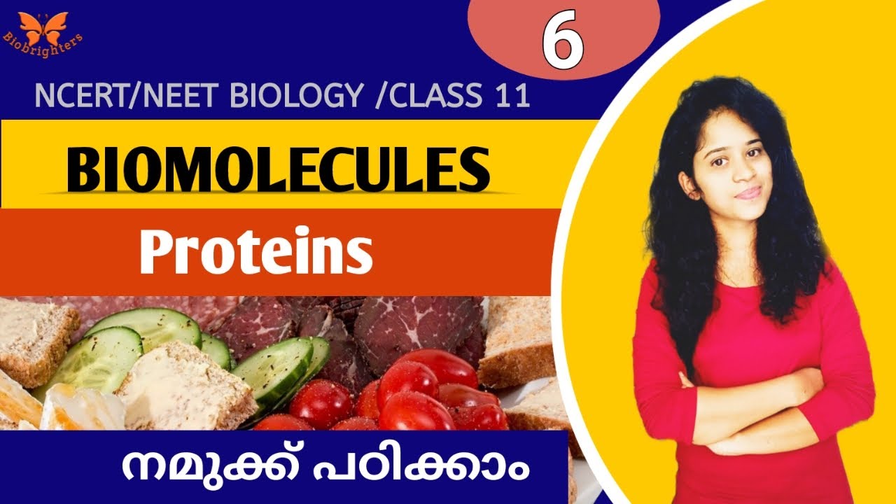 PROTEINSBIOMOLECULES /NCERT /NEET BIOLOGY /IN MALAYALAM YouTube