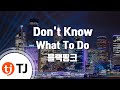 [TJ노래방] Don't Know What To Do - 블랙핑크 / TJ Karaoke