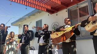 Video thumbnail of "Mariachi San Martin Cruz De Olvido"