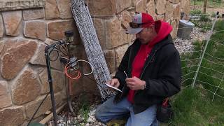 Backflow Test