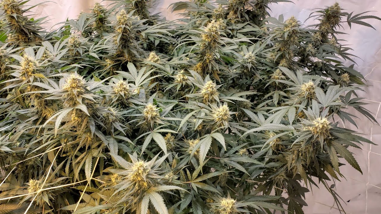 You're Not Going to Believe This