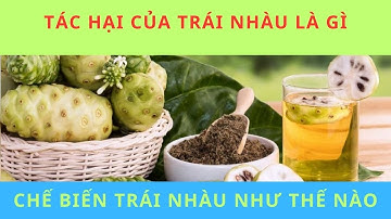 TÁC HẠI CỦA TRÁI NHÀU LÀ GÌ? CHẾ BIẾN TRÁI NHÀU NHƯ THẾ NÀO?