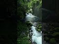 nature video 30 second | whatsapp status video | nature background video