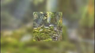 bad habit - sped up