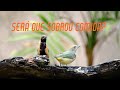 Será que sobrou comida?