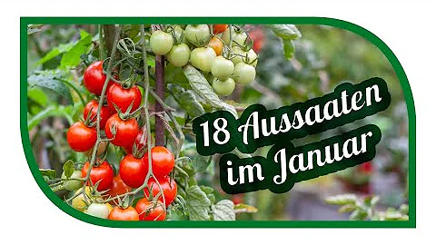 Was pflanzt man im Januar Februar?