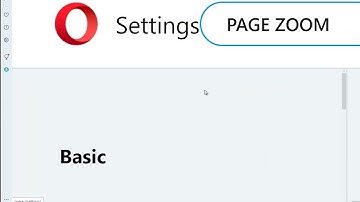 Enable/adjust Page Zoom in Opera Browser