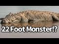 Giant crocodile spotted in africa