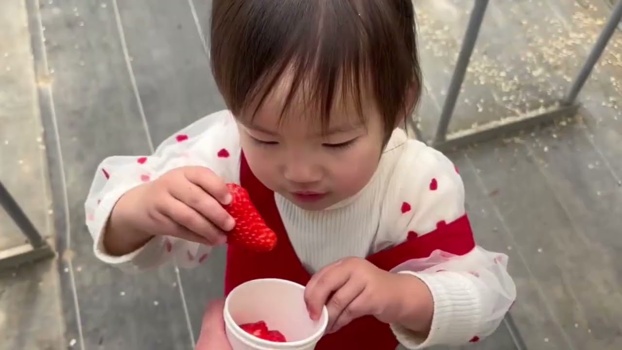 いちご狩り～心葉（2才4ヶ月）編～