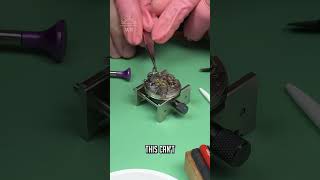 Thumbnail for Chronograph Families