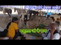 येवला घोड़ा मंडी जायेंगे  Balotra Tilwada Horse Pashu Mela Fair Market 2023 Horse Market India Video