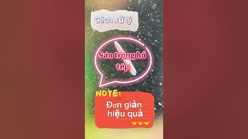 Mẹo nhỏ giúp diệt sán mà tép vẫn khỏe mạnh #fyp #tepcanh #thuysinh #hotepmini #nhantepreu