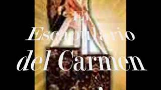MN - Virgen del Carmen.wmv