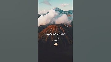 استمتع بتلاوة قصيرة من القرآن الكريم لمدة دقيقة واحدة، تهز القلب وتغذي الروح. 🌿استمع