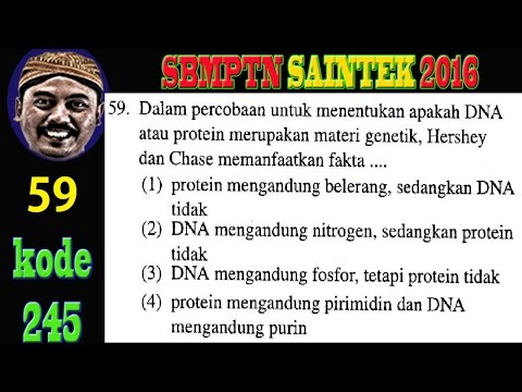Hershey Dan Chase Membedakan Dna Dan Protein Biologi Sbmptn 2016 Saintek Kode 245 No 59 Youtube Hershey Dan Chase Membedakan Dna Dan Protein Biologi Sbmptn 2016 Saintek Kode 245 No 59 Youtube