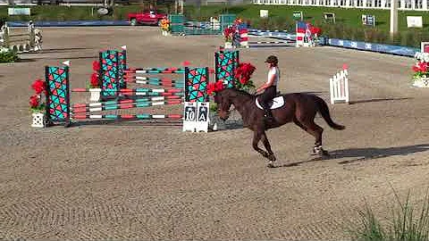 Video of Chacasso ridden by Abigail Russo from Sho...