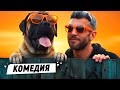 СМЕШНО И НЕОБЫЧНО! ЮРИСТ И ГОВОРЯЩИЙ ПЁС — ЛУЧШАЯ ПАРА В ПОЛИЦИИ!