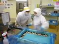 刈谷市 ブラジル人 おにぎり 工場 手袋してない 食中毒感染源 ノロウイルス