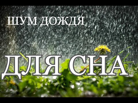 Тёплый летний дождь