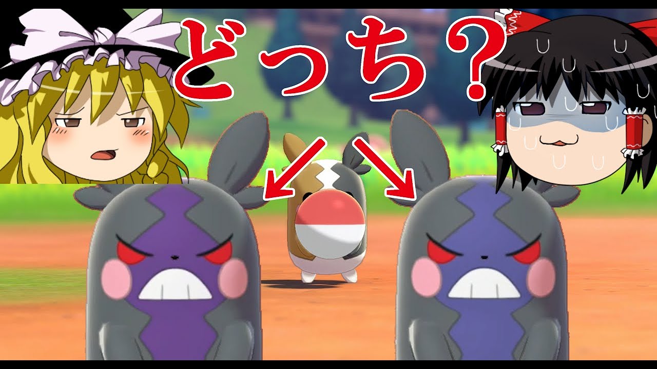 違い モルペコ 色 ポケモン ソード